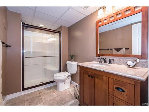229 Magnolia Trace Dr, Ballwin, MO 63021 photo 26