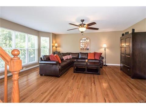 229 Magnolia Trace Dr, Ballwin, MO 63021 photo 10
