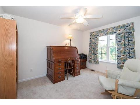 229 Magnolia Trace Dr, Ballwin, MO 63021 photo 24
