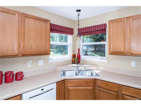 229 Magnolia Trace Dr, Ballwin, MO 63021 photo 15