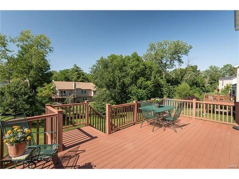 229 Magnolia Trace Dr, Ballwin, MO 63021 photo 28