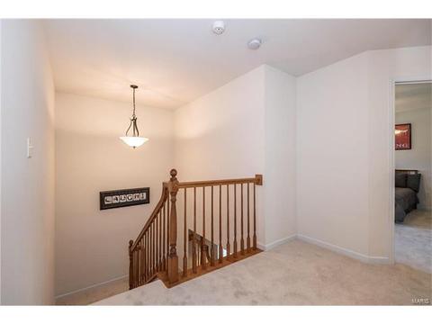 229 Magnolia Trace Dr, Ballwin, MO 63021 photo 18
