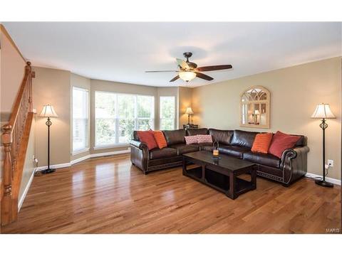 229 Magnolia Trace Dr, Ballwin, MO 63021 photo 9