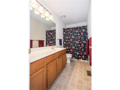 229 Magnolia Trace Dr, Ballwin, MO 63021 photo 23