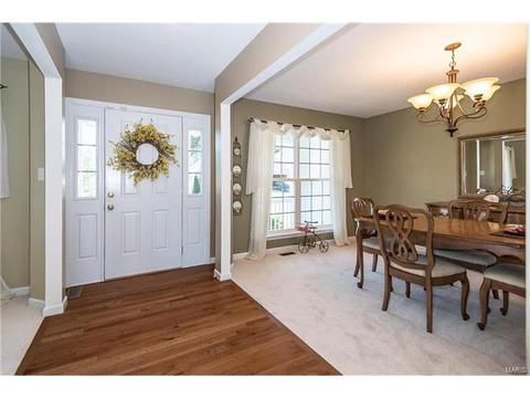 229 Magnolia Trace Dr, Ballwin, MO 63021 photo 7