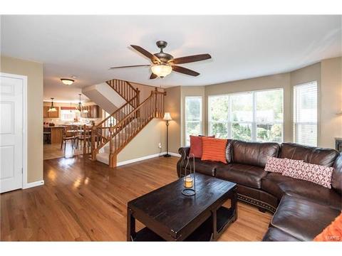 229 Magnolia Trace Dr, Ballwin, MO 63021 photo 11