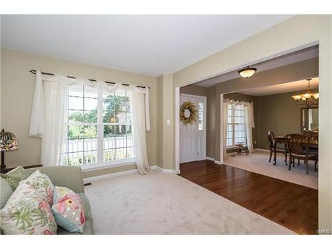 229 Magnolia Trace Dr, Ballwin, MO 63021 photo 6