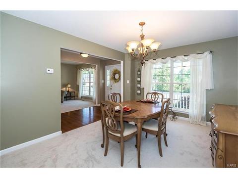 229 Magnolia Trace Dr, Ballwin, MO 63021 photo 8