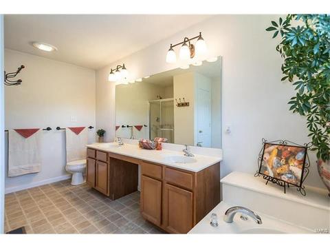 229 Magnolia Trace Dr, Ballwin, MO 63021 photo 21