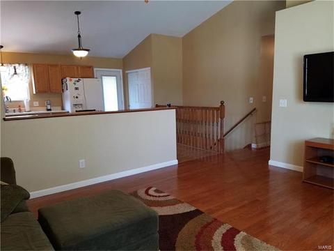 1 Black Cherry Ct, O'fallon, MO 63368 photo 4