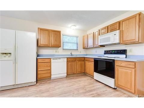 718 Levin Dr, O'fallon, MO 63366 photo 8