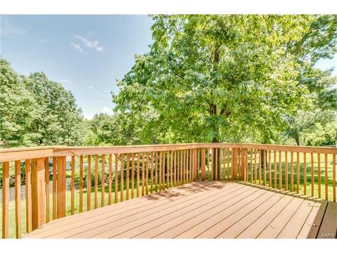 718 Levin Dr, O'fallon, MO 63366 photo 23