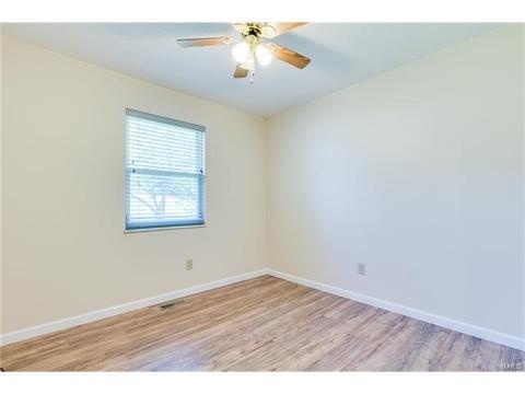 718 Levin Dr, O'fallon, MO 63366 photo 18