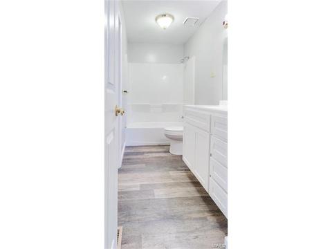 718 Levin Dr, O'fallon, MO 63366 photo 13