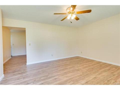 718 Levin Dr, O'fallon, MO 63366 photo 5