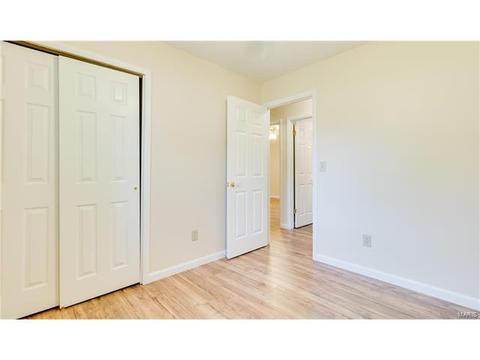 718 Levin Dr, O'fallon, MO 63366 photo 17