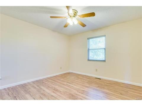 718 Levin Dr, O'fallon, MO 63366 photo 11
