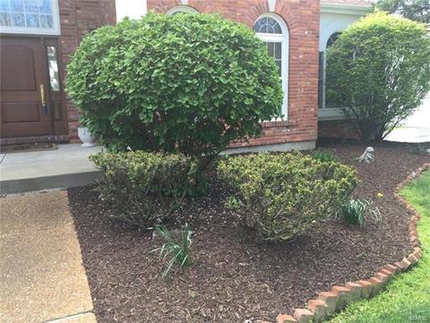 2027 Brook Hill Ridge Dr, Chesterfield, MO 63017 photo 58