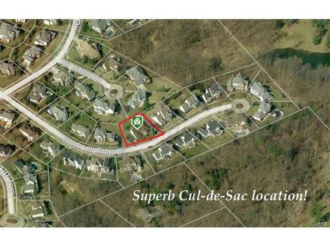 2027 Brook Hill Ridge Dr, Chesterfield, MO 63017 photo 63