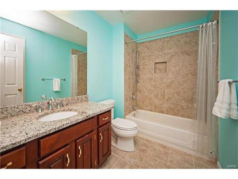 2027 Brook Hill Ridge Dr, Chesterfield, MO 63017 photo 50