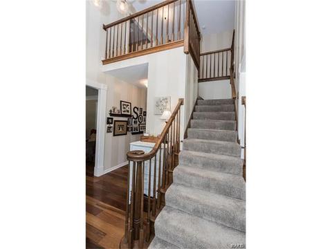 731 Arbor Hvn, Ballwin, MO 63021 photo 22