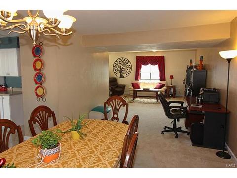 326 Carmel Woods Dr, Ellisville, MO 63021 photo 7