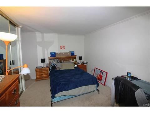 326 Carmel Woods Dr, Ellisville, MO 63021 photo 14
