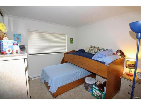 326 Carmel Woods Dr, Ellisville, MO 63021 photo 15