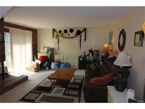 326 Carmel Woods Dr, Ellisville, MO 63021 photo 17