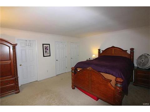 326 Carmel Woods Dr, Ellisville, MO 63021 photo 10