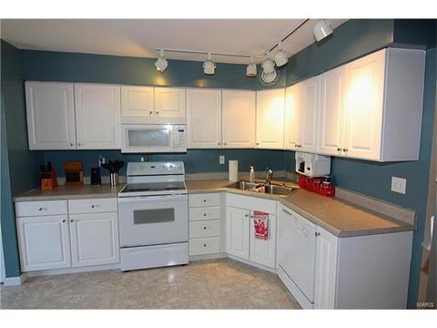 326 Carmel Woods Dr, Ellisville, MO 63021 photo 9