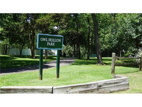 827 Palm Bay Dr, Ellisville, MO 63021 photo 47
