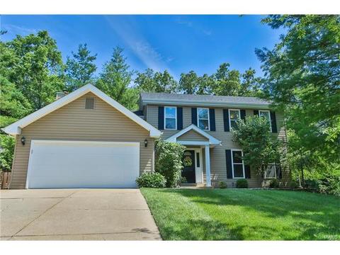 16201 Maple Crossing Ct, Wildwood, MO 63011 photo 1