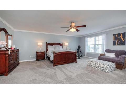 1209 Red Orchard Ct, O'fallon, MO 63368 photo 21
