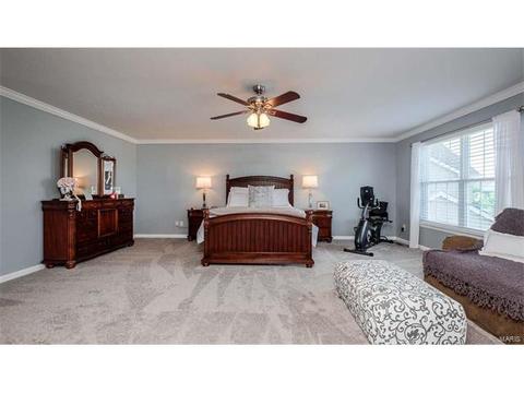 1209 Red Orchard Ct, O'fallon, MO 63368 photo 20