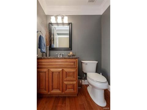 1209 Red Orchard Ct, O'fallon, MO 63368 photo 16