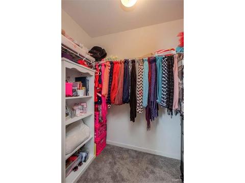 1209 Red Orchard Ct, O'fallon, MO 63368 photo 28
