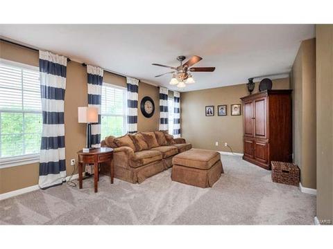 1209 Red Orchard Ct, O'fallon, MO 63368 photo 32