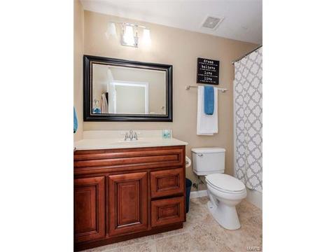 1209 Red Orchard Ct, O'fallon, MO 63368 photo 29