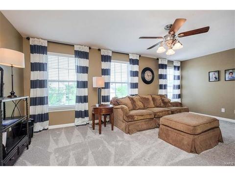 1209 Red Orchard Ct, O'fallon, MO 63368 photo 33