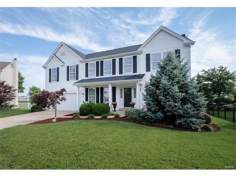 1209 Red Orchard Ct, O'fallon, MO 63368 photo 39