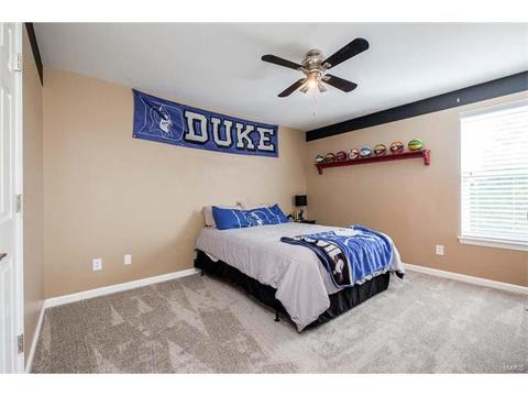1209 Red Orchard Ct, O'fallon, MO 63368 photo 30