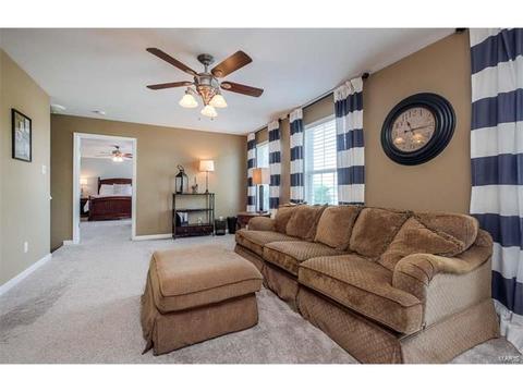 1209 Red Orchard Ct, O'fallon, MO 63368 photo 34