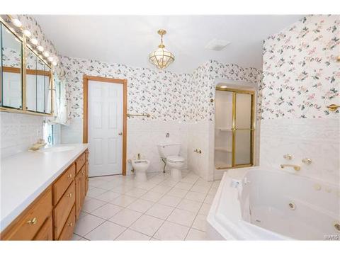 9 Forrester Dr, Ballwin, MO 63011 photo 17