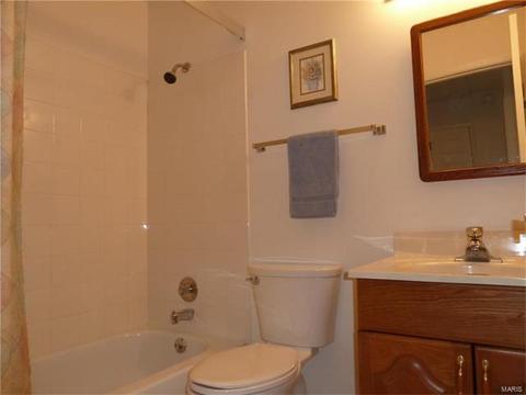 949 Oakfield Dr, Ballwin, MO 63021 photo 11