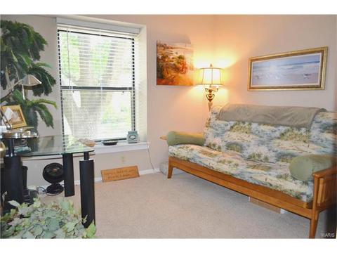 705 Lofty Point Dr #D, Ballwin, MO 63021 photo 19