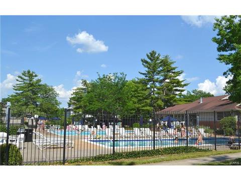 705 Lofty Point Dr #D, Ballwin, MO 63021 photo 23