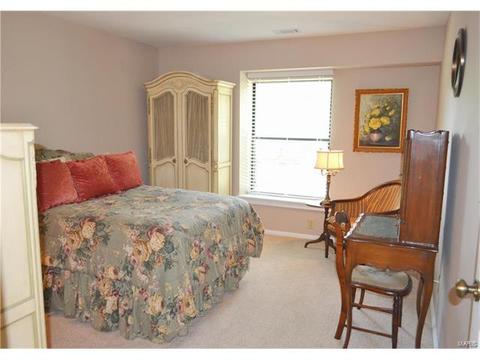 705 Lofty Point Dr #D, Ballwin, MO 63021 photo 16
