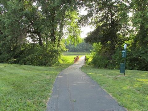 2997 Bromley Dr, O'fallon, MO 63368 photo 51
