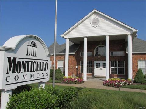 2997 Bromley Dr, O'fallon, MO 63368 photo 45